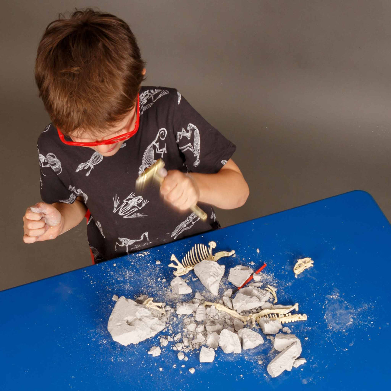 heebie jeebies stem Stegosaurus Palaeontology Kit