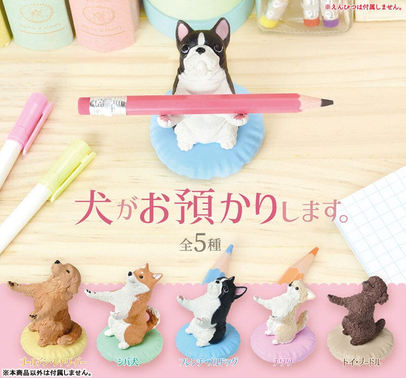 Techzone Geelong Dogs Will Hold It For You Blind Box