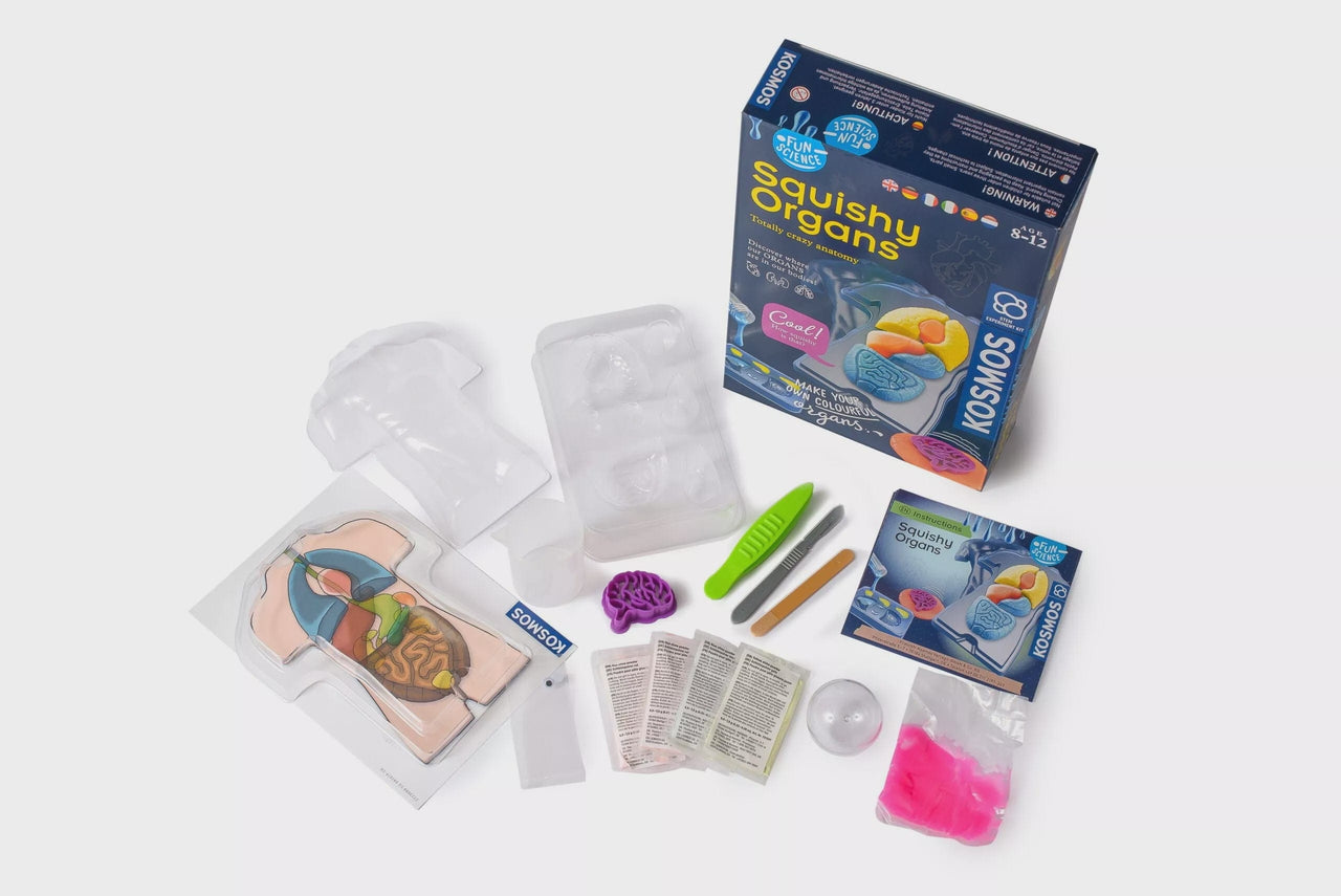 Thames & Kosmos stem Squishy Organs