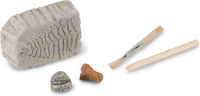 Thumbnail for heebie jeebies stem Fossil Dig Kit