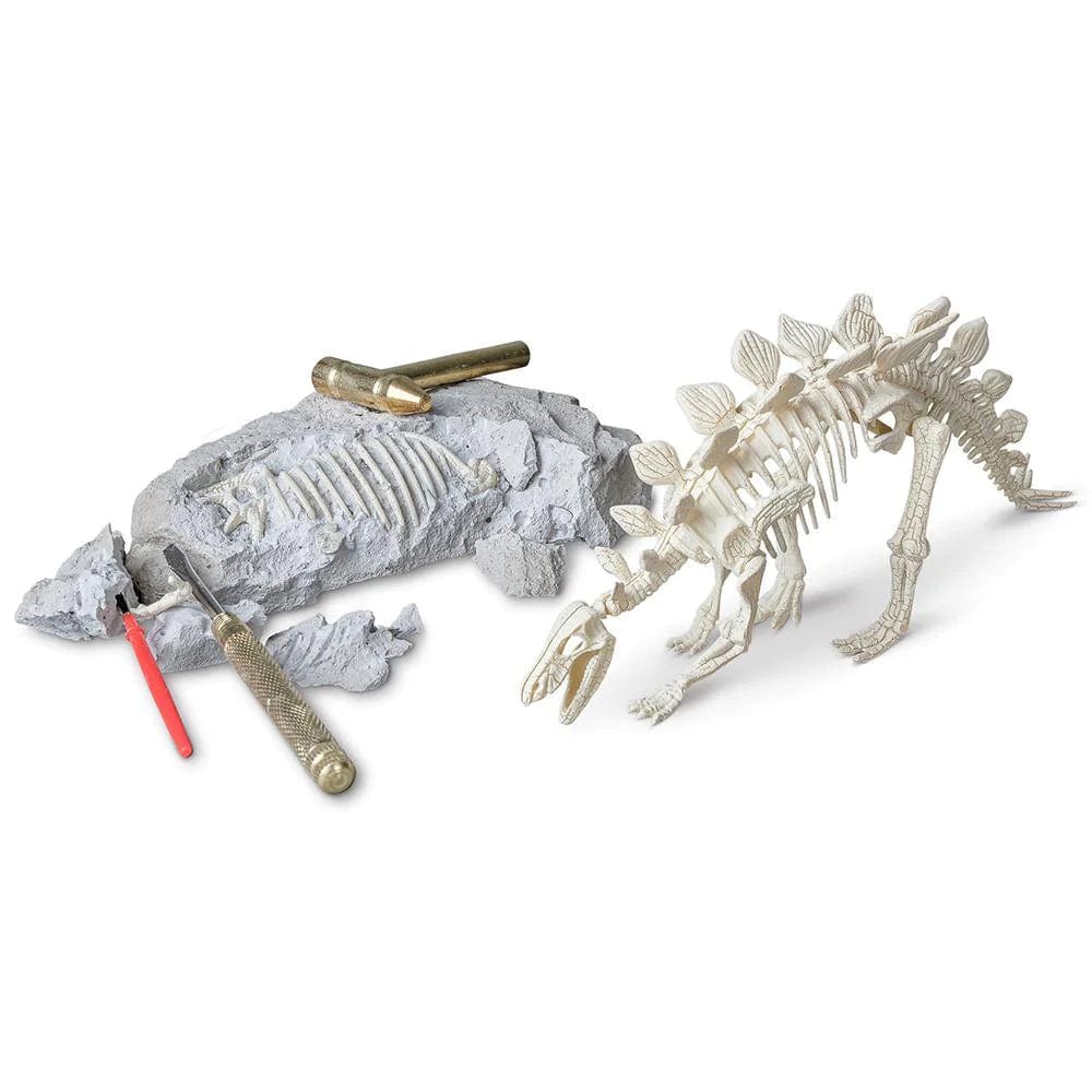 heebie jeebies stem Stegosaurus Palaeontology Kit